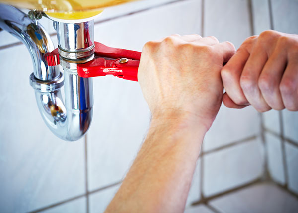 About Lavinia Plumbers